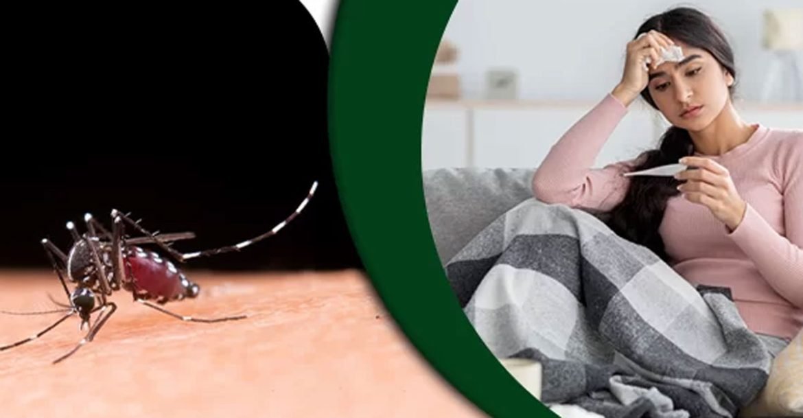 পরিবারের সবারই যদি ডেঙ্গু জ্বর হয় তাহলে কিভাবে যত্ন নিবেন?