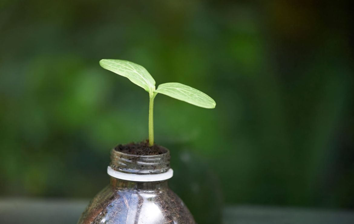 ধরিত্রী দিবস ও ভবিষ্যৎ প্রজন্ম