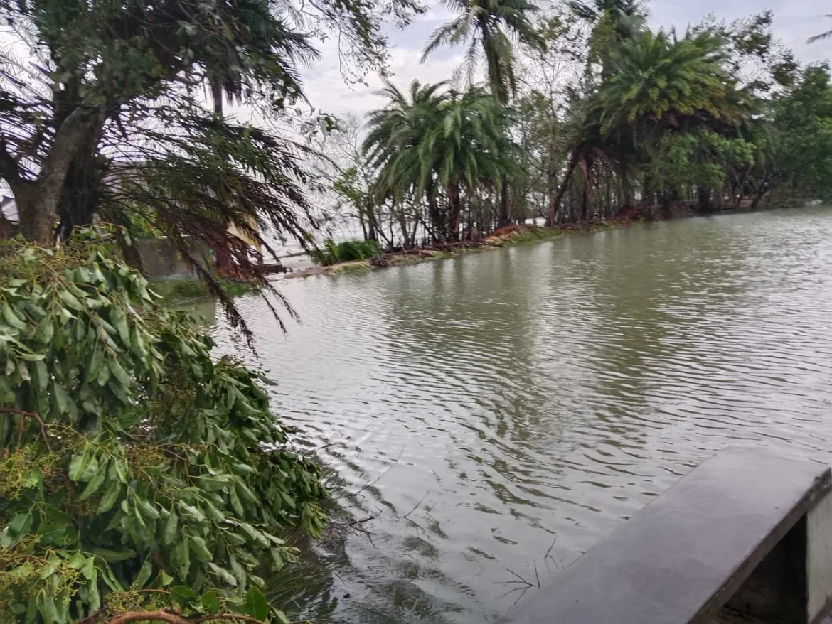 সুন্দরবন