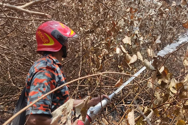 সুন্দরবনে আগুন নেভানোর কাজ চলছে।