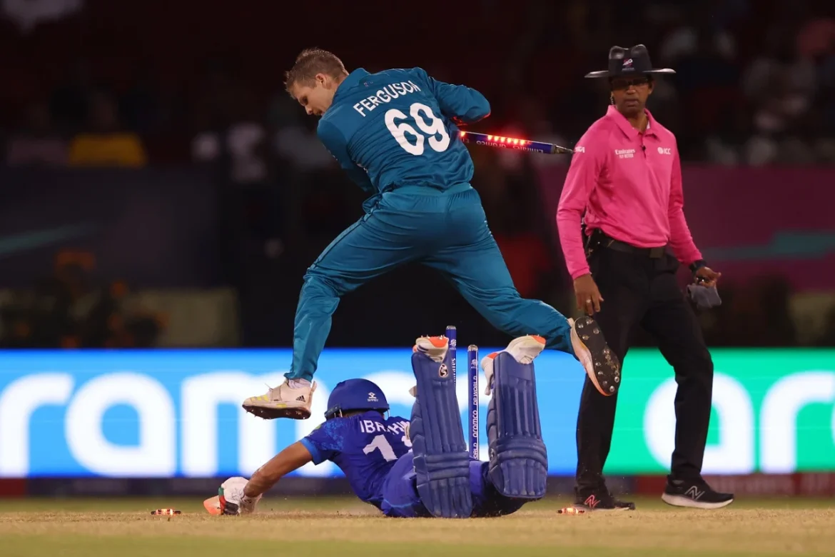 আফগানিস্তান বনাম নিউজিল্যান্ড ম্যাচের একটি দৃশ্য