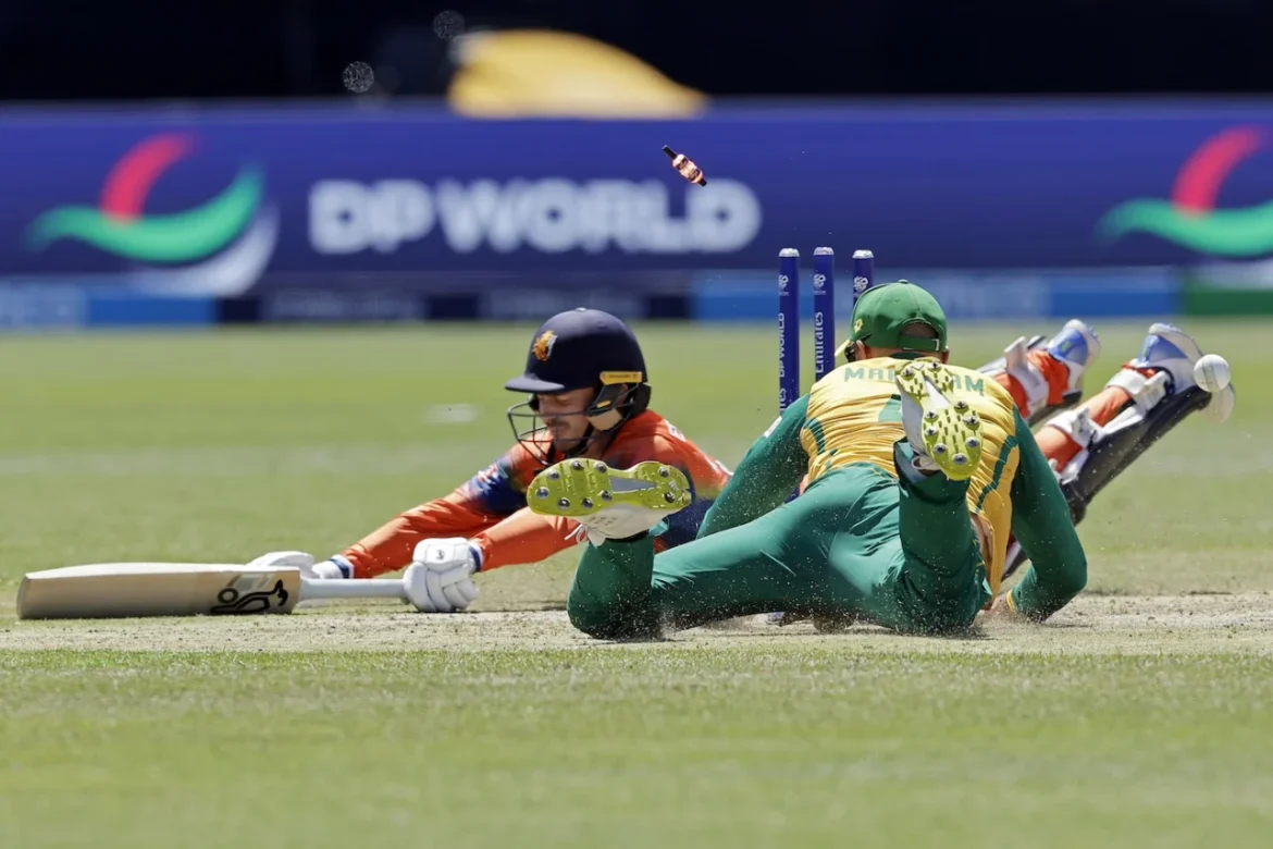 দক্ষিণ আফ্রিকা বনাম নেদারল্যান্ডস ম্যাচের একটি দৃশ্য