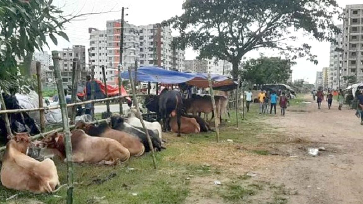 আফতাবগনর হাট।