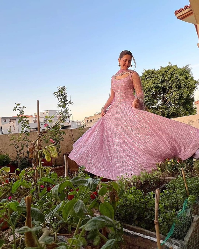 হানিয়া আমির