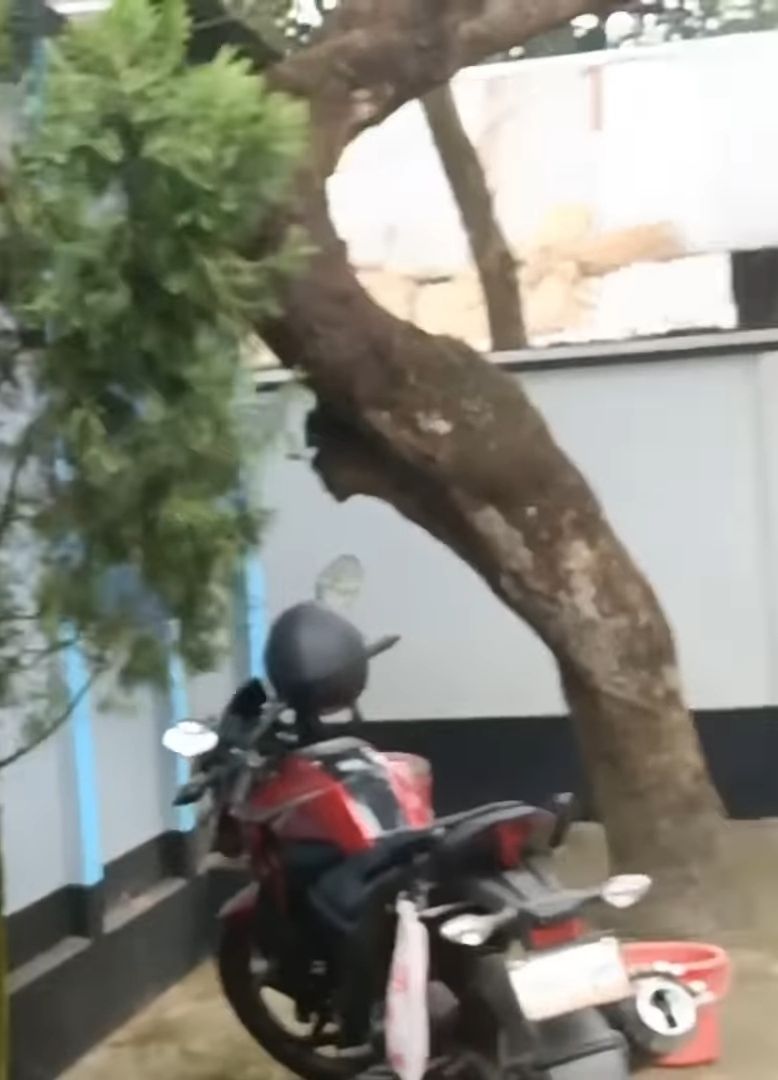সারজিসের বাবার মোটরবাইক